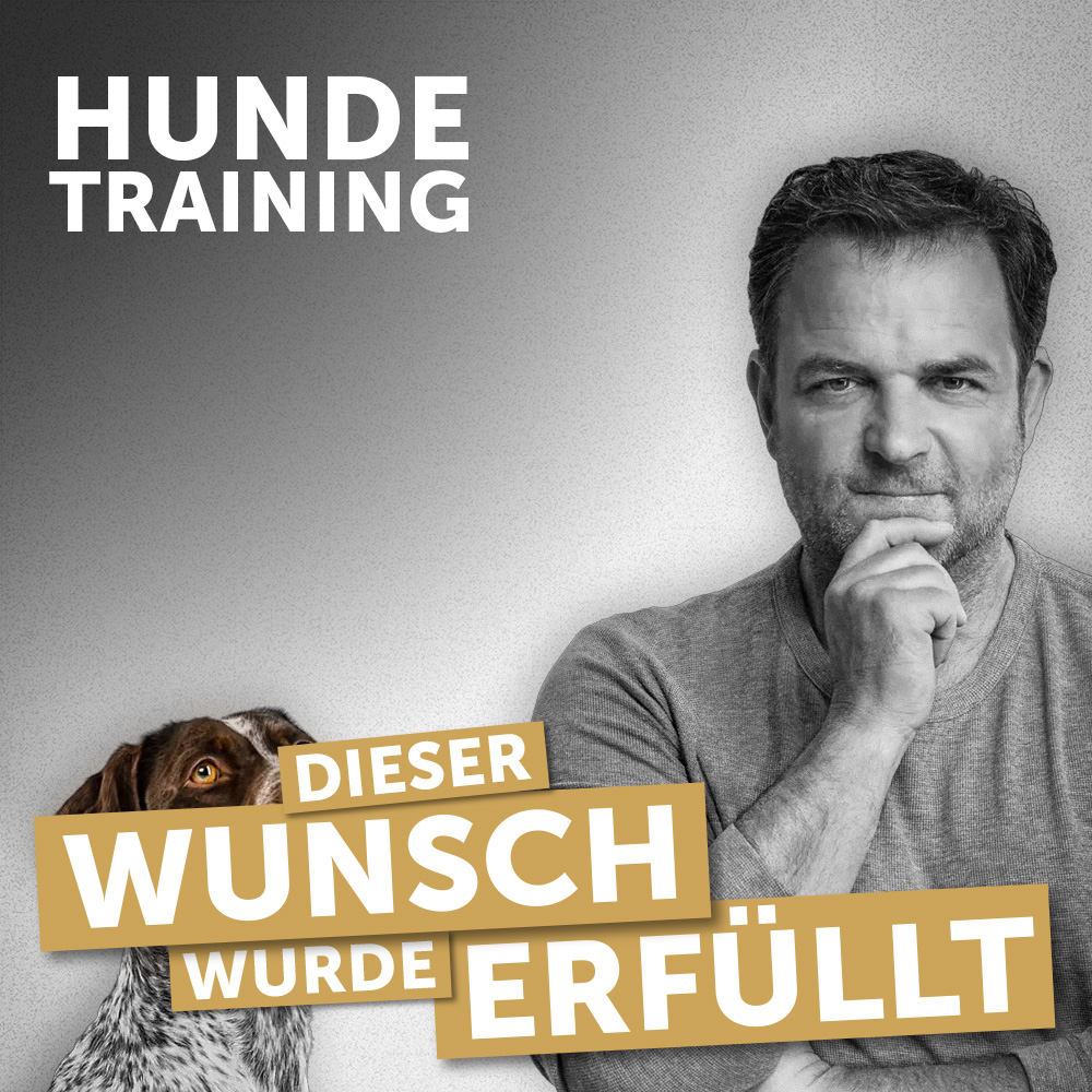 Hundetraining ERFÜLLT
