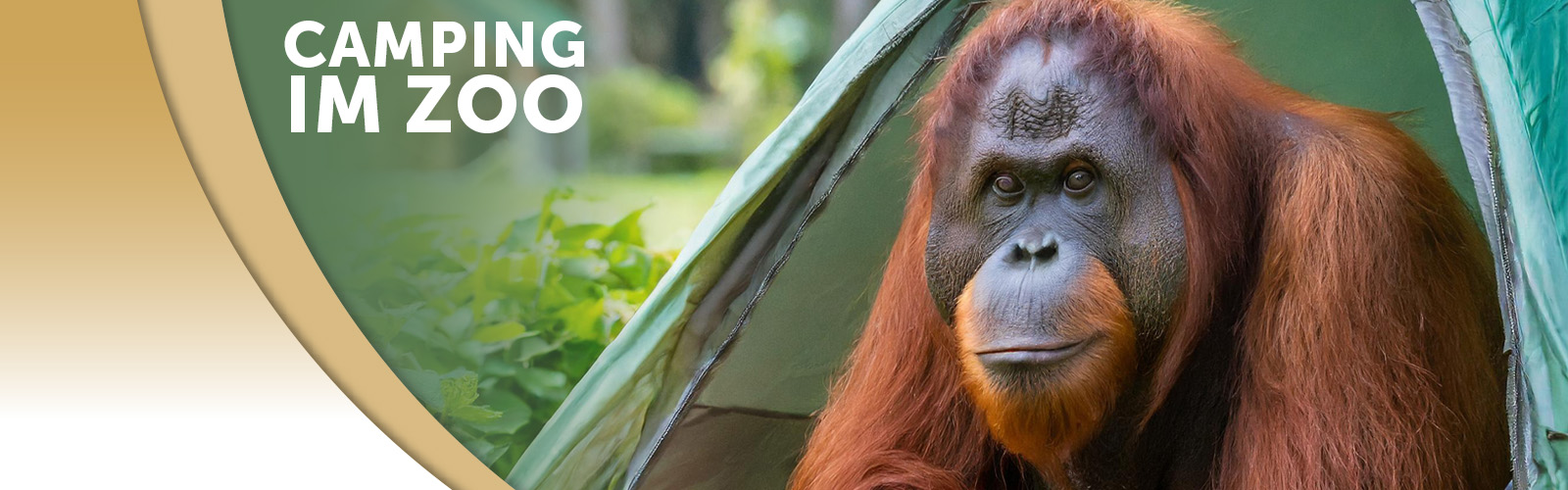 Camping im Zoo