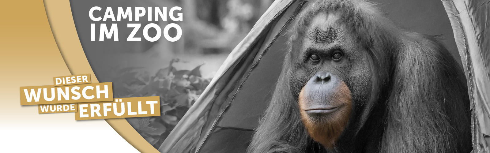 Camping im Zoo – erfüllt