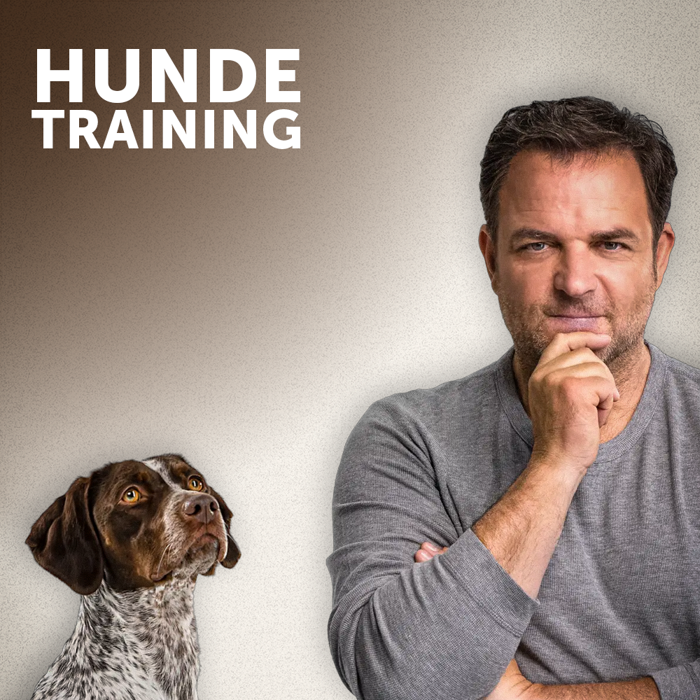 Hundetraining